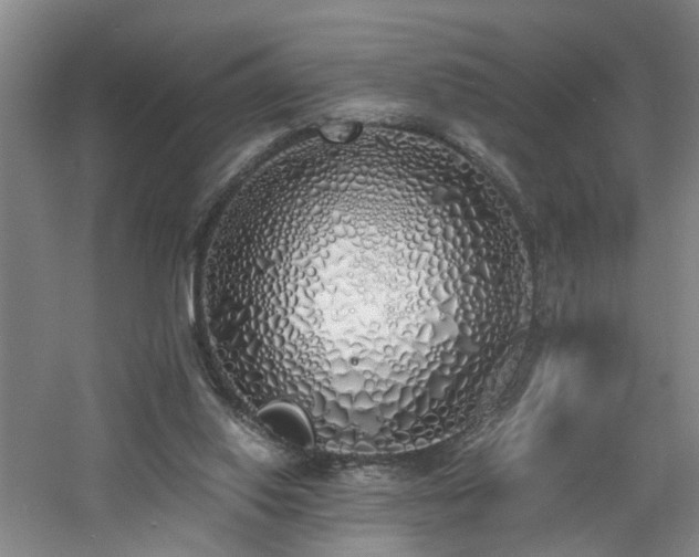 X0000060770062200511101225