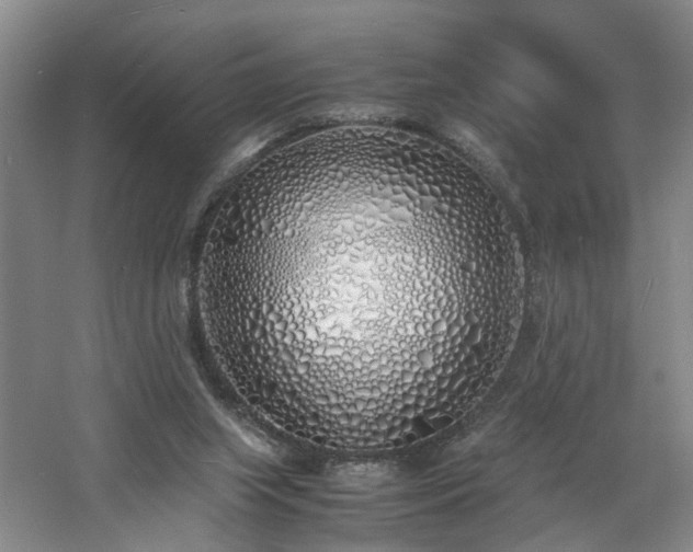 X0000060770063200511101225