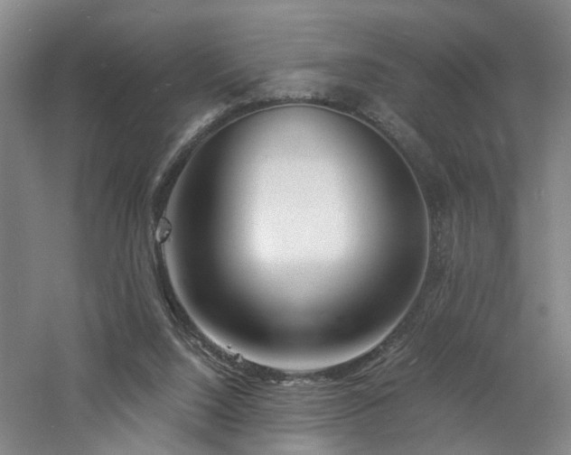 X0000060770064200511101225