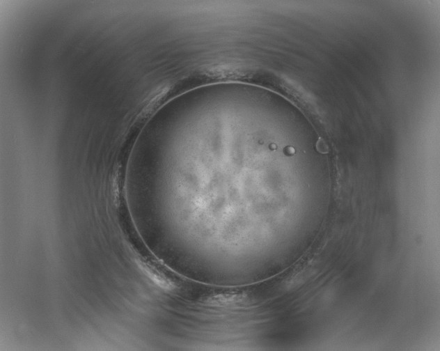 X0000060770065200511101225