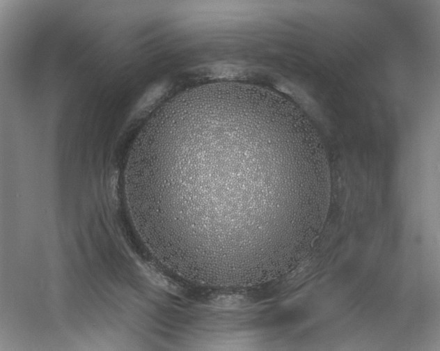 X0000060770066200511101225