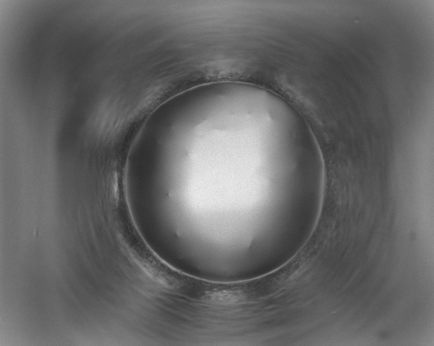 X0000060770067200511101225