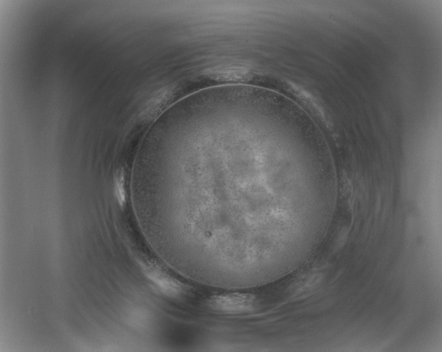 X0000060770069200511101225