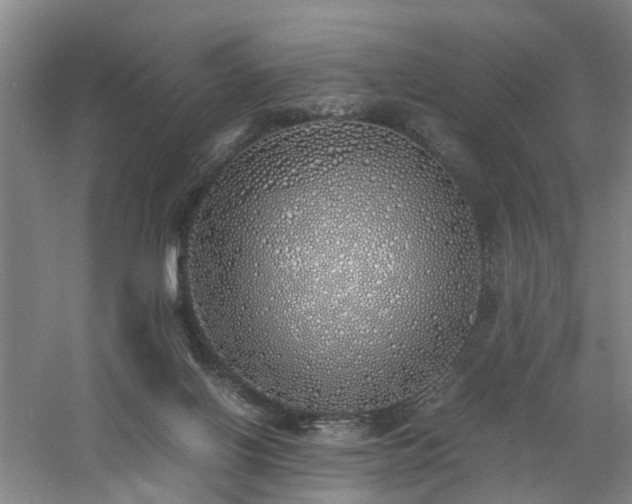 X0000060770070200511101225