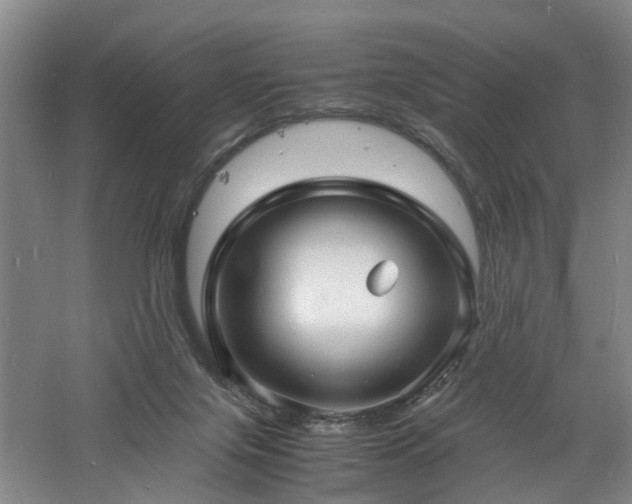 X0000060770071200511101225