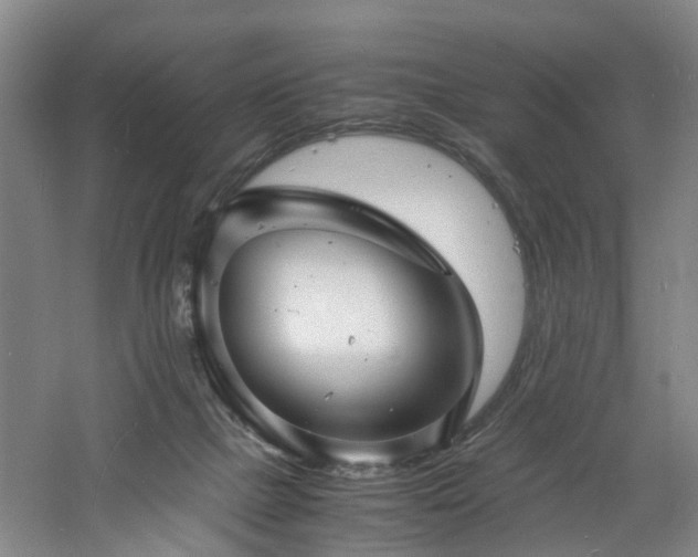 X0000060770073200511101225