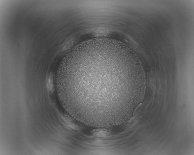 X0000060770074200511101225