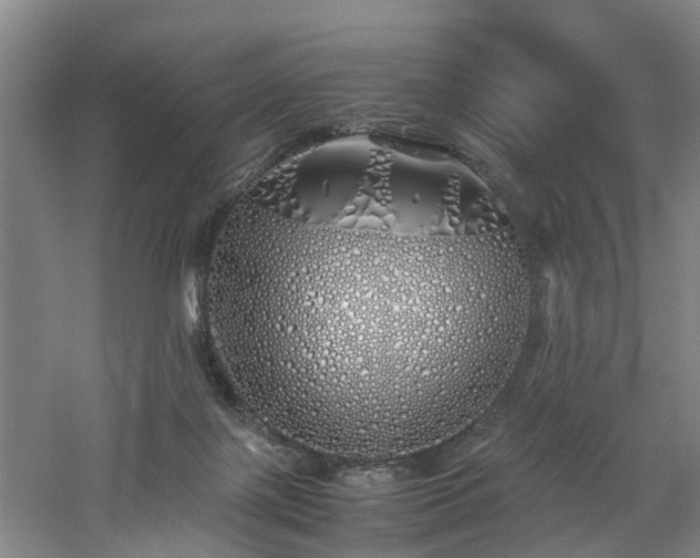 X0000060770075200511101225