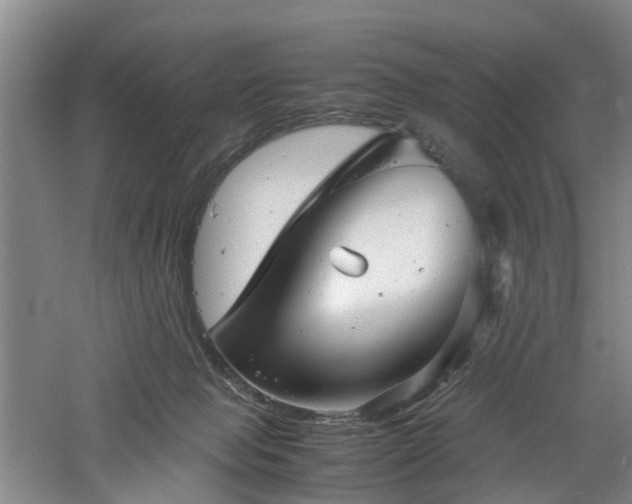 X0000060770077200511101225