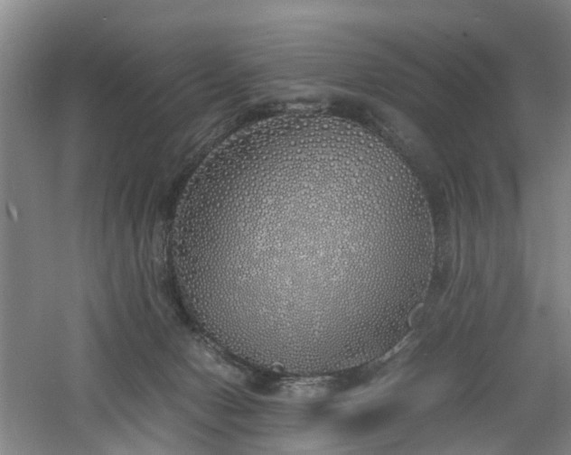 X0000060770078200511101225