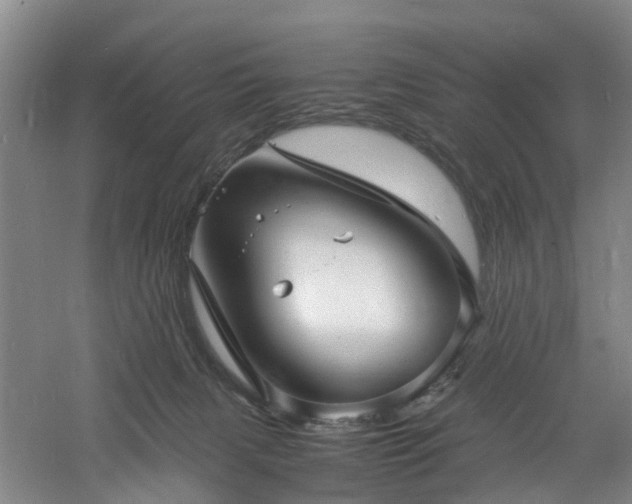 X0000060770079200511101225