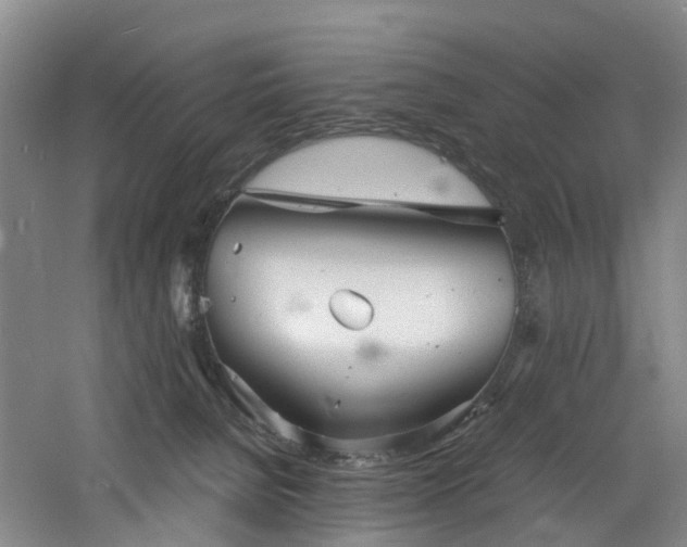 X0000060770080200511101225