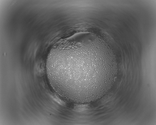 X0000060770081200511101225