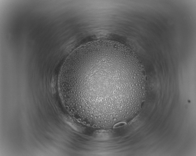 X0000060770082200511101225