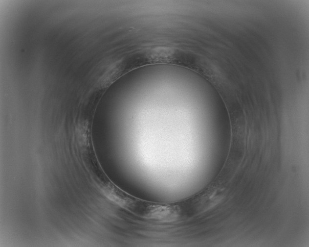 X0000060770083200511101225