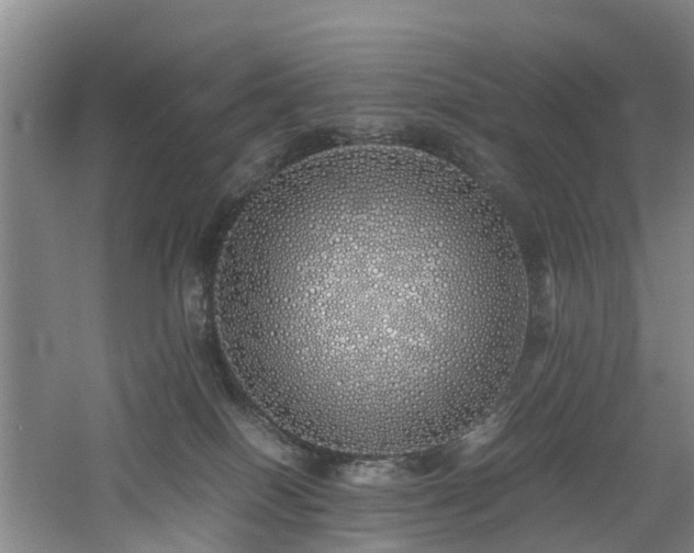 X0000060770086200511101225