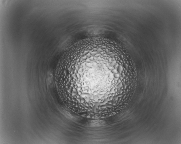 X0000060770087200511101225