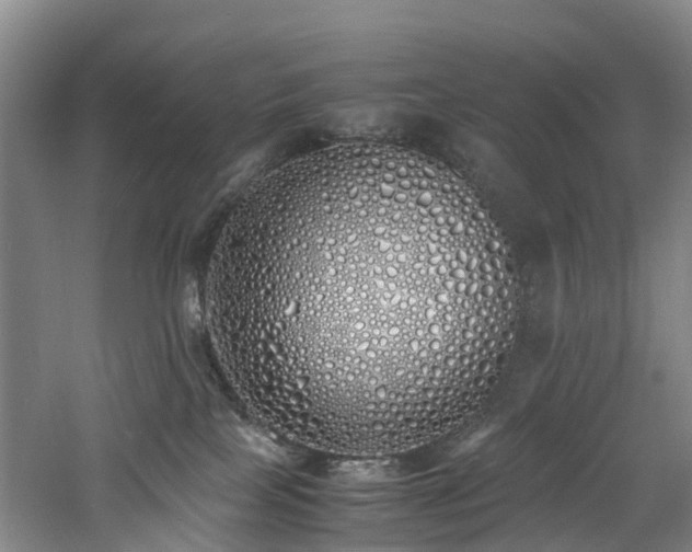 X0000060770089200511101226