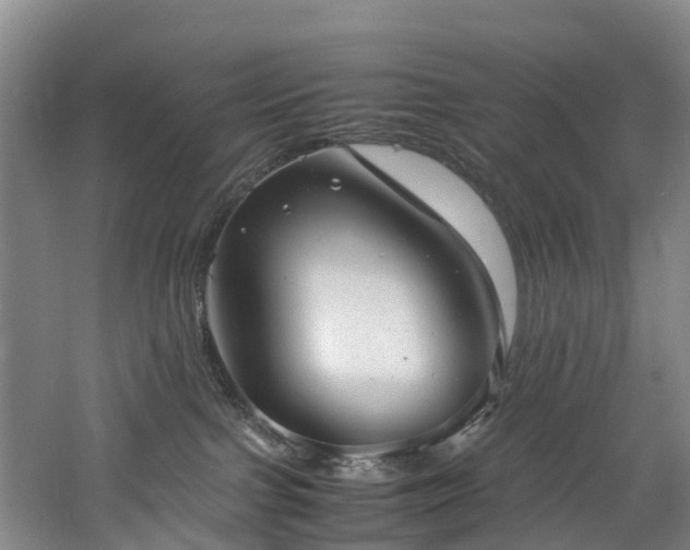 X0000060770091200511101226