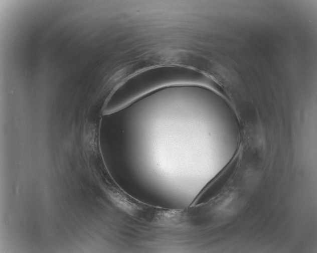 X0000060770092200511101226