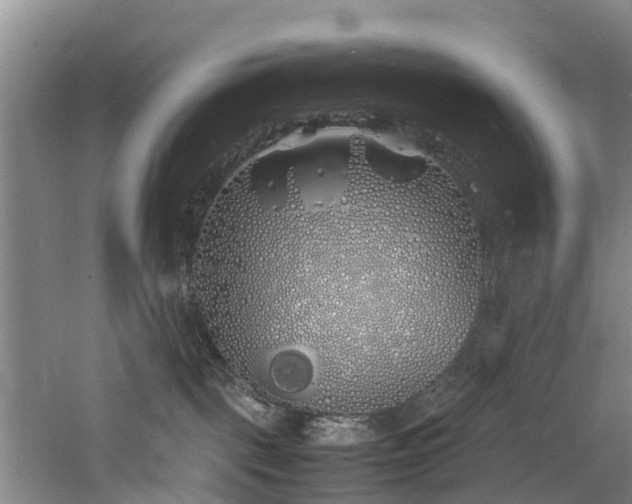 X0000060770093200511101226