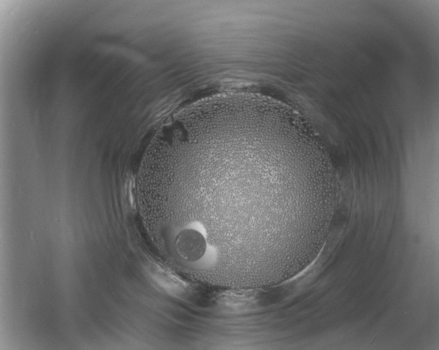 X0000060770094200511101226