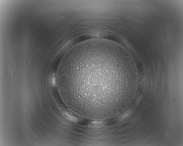 X0000060770095200511101226