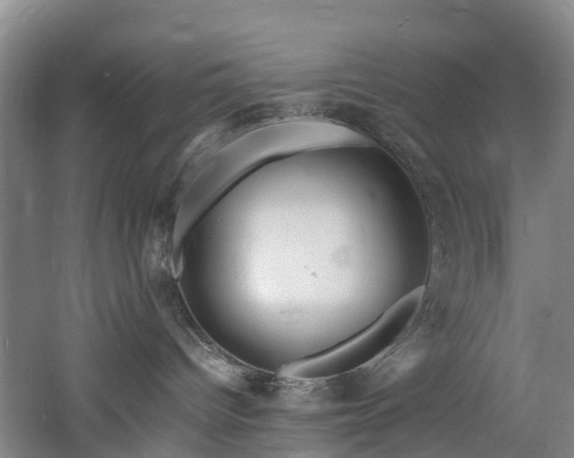 X0000060770096200511101226