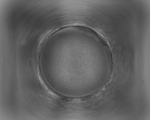 X0000060770097200511101225