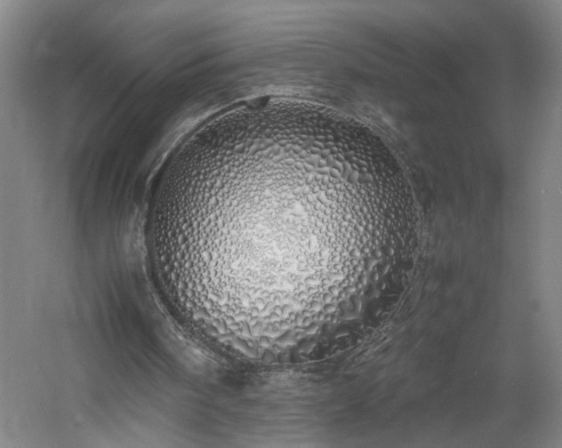 X0000060770098200511101225