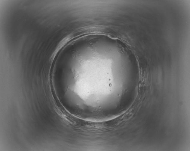 X0000060770099200511101225