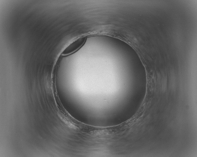 X0000060770100200511101225