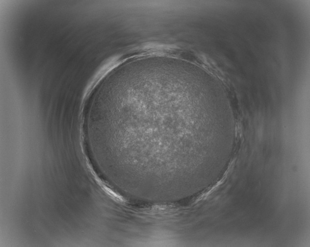 X0000060770101200511101225