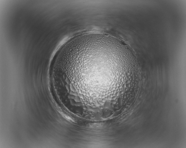 X0000060770102200511101225