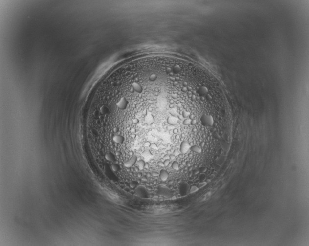 X0000060770103200511101225