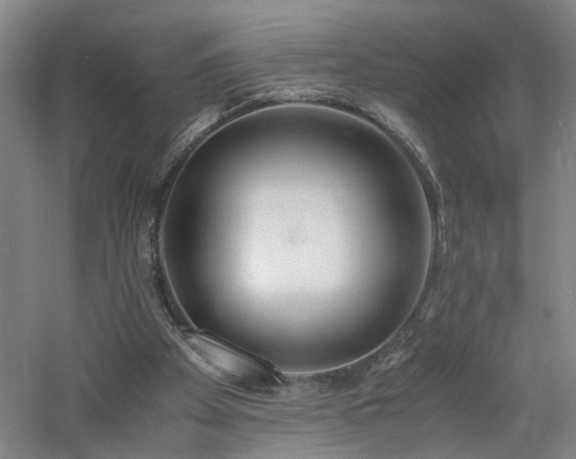 X0000060770105200511101225