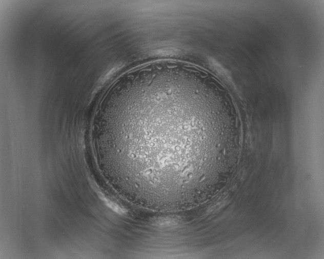 X0000060770106200511101225