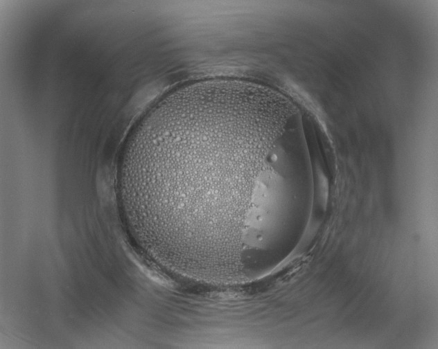 X0000060770107200511101225