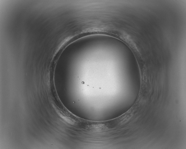 X0000060770108200511101225