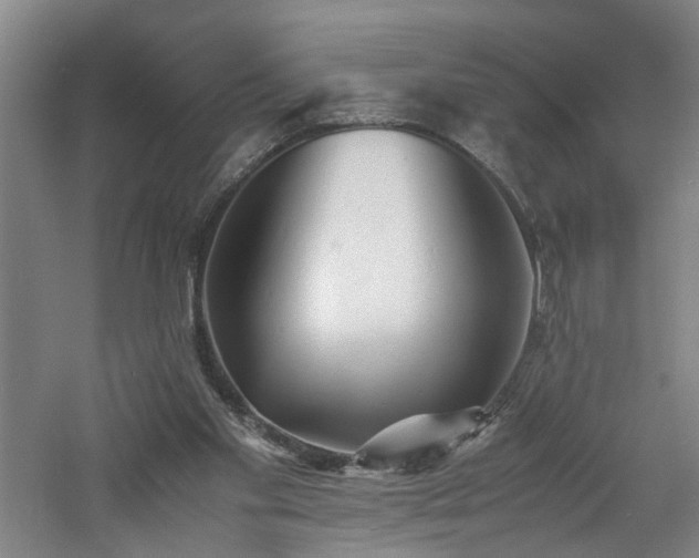 X0000060770109200511101224