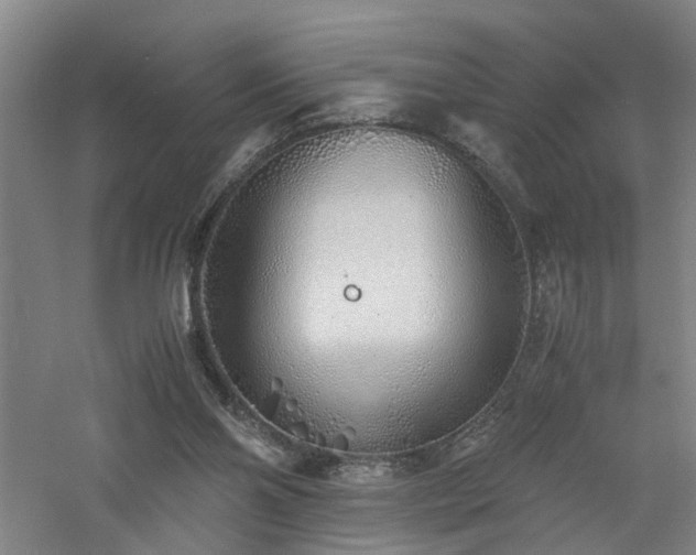 X0000060770110200511101224