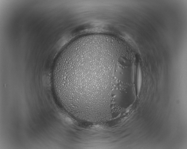 X0000060770111200511101224