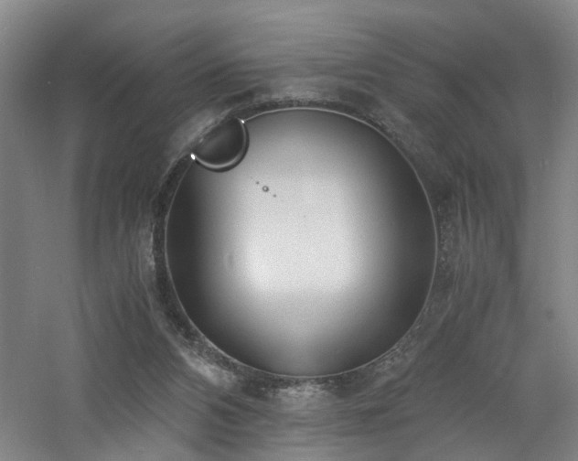 X0000060770112200511101224