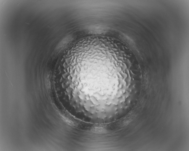 X0000060770114200511101224