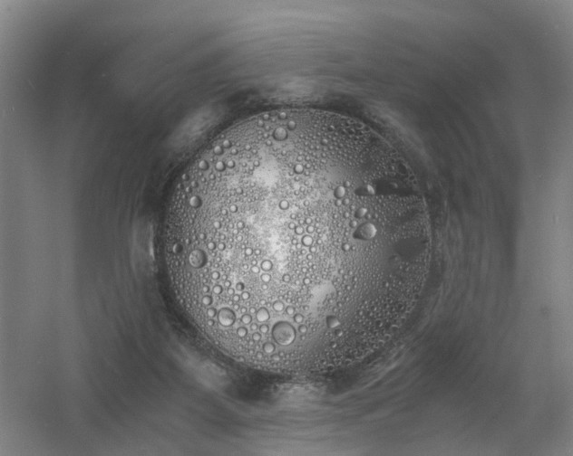 X0000060770115200511101224