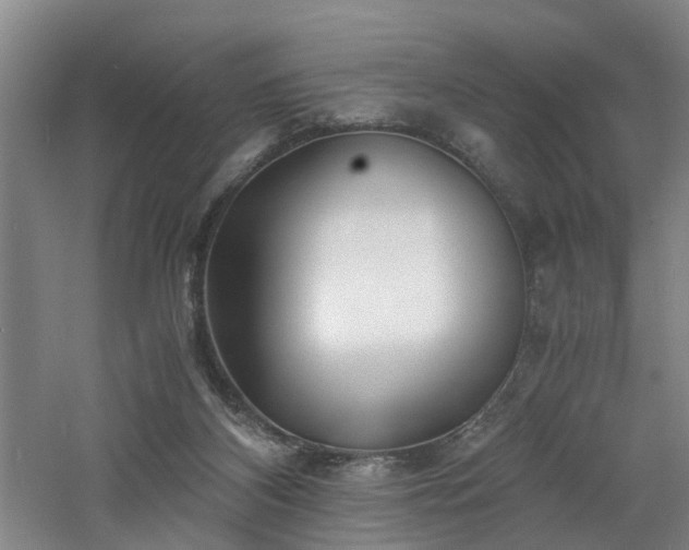 X0000060770116200511101224