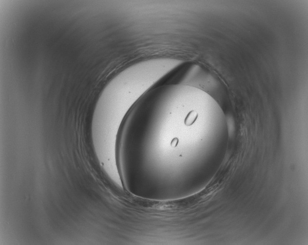 X0000060770117200511101224