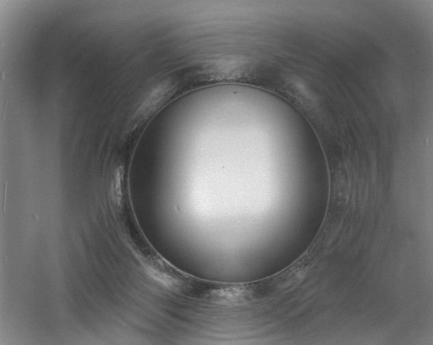 X0000060770118200511101224