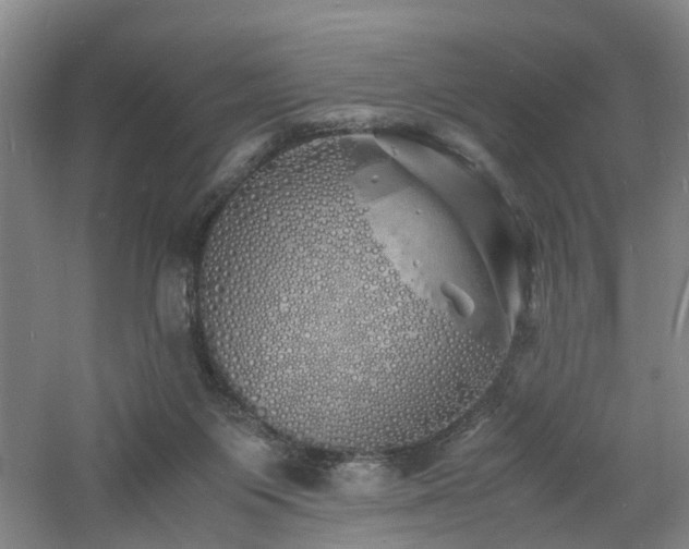 X0000060770119200511101224