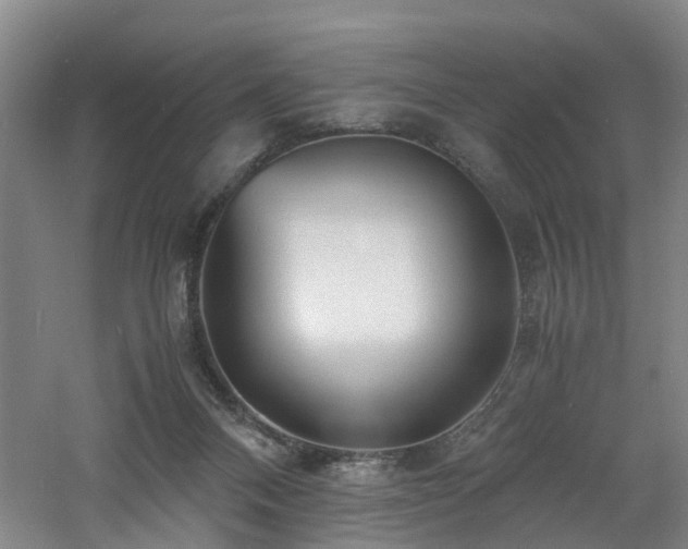 X0000060770120200511101224